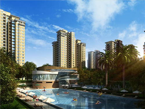 咕咕酱韩式炸鸡