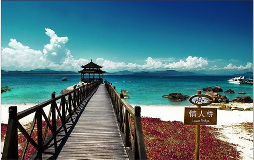 翅里翅外鸡翅包饭