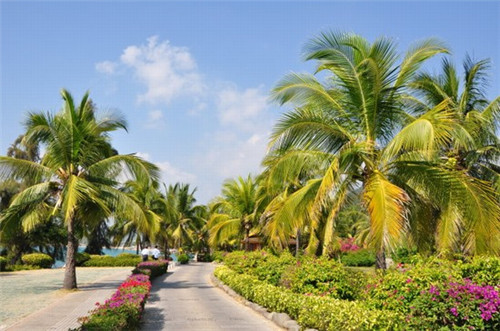 在信阳市加盟贝克斯美式炸鸡汉堡哪个地段客源多