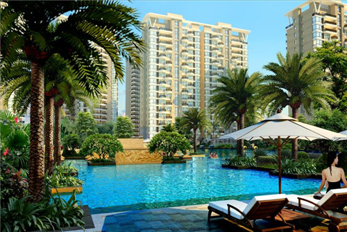 加盟hightea三点三奶茶会亏本吗，奶茶哪些项目比较适合新手来做