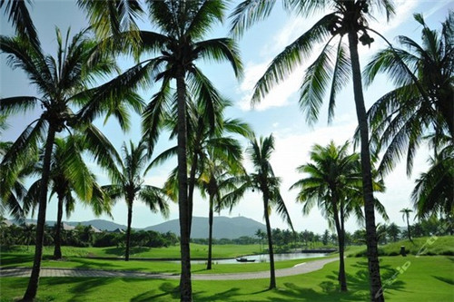 甜品创业糖水店怎么样