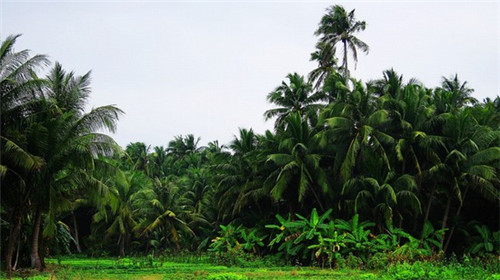 航天三院31所北京动力机械研究所在哪里（北京航天动力研究所是国企吗）