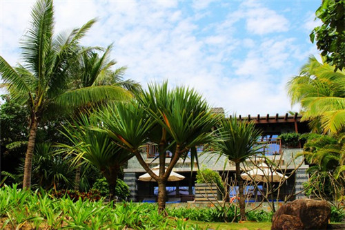 炒花菜炒豆芽怎么炒（炒花菜炒豆芽怎么炒好吃）