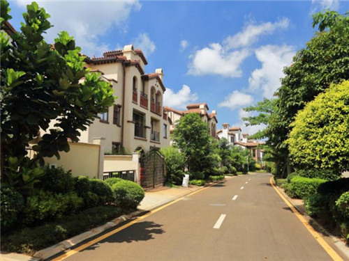 草鱼头怎么处理比较好吃（草鱼头怎么处理比较好吃窍门）