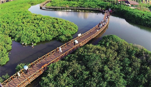 多功能微波炉加盟哪家更优秀