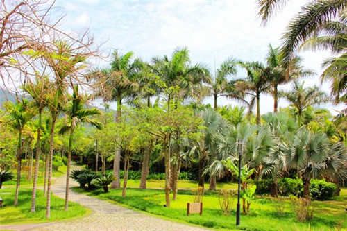 滕字起名寓意是什么意思（滕字起名男孩洋气）